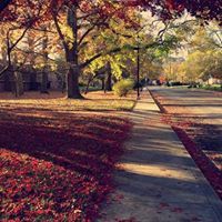  New Path Counseling Center - Westminster, MD - Counseling & Mental Health